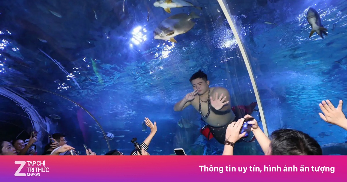 Chàng 'Tiên Cá Béo' Lê Nguyên Phong Gây Sốt Tại Thủy Cung Nha Trang