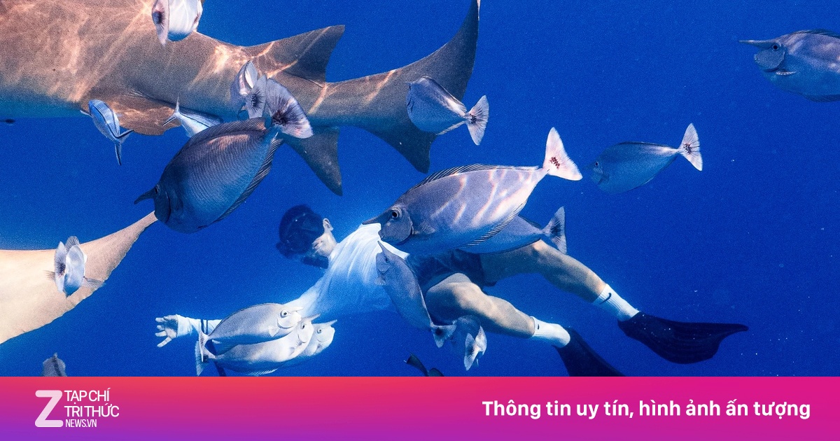 Người không biết bơi có thể lặn biển không? Câu trả lời từ chuyên gia