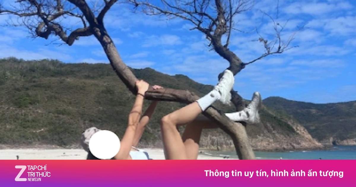 Bất lực trước trào lưu vắt vẻo ôm cây chụp ảnh ở Hong Kong