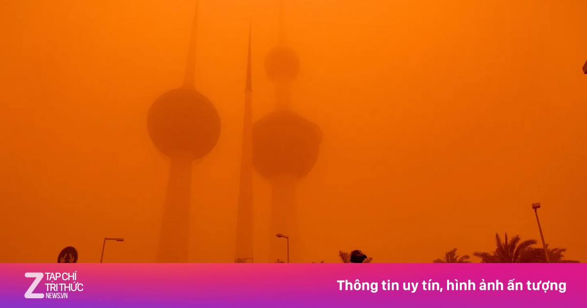 Nơi lắp điều hòa ngoài đường, chim rơi xuống đất vì nắng nóng