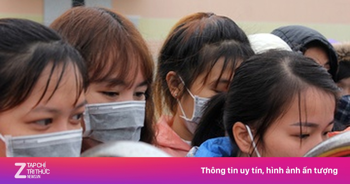 zingnews.vn