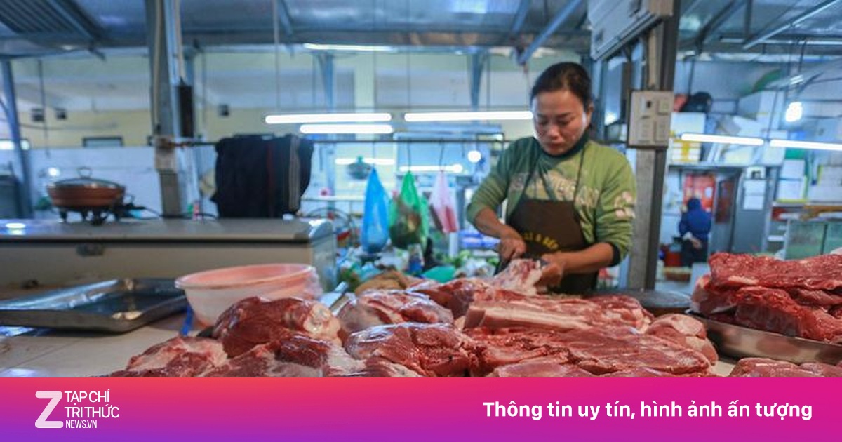 zingnews.vn
