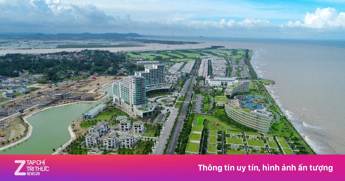 zingnews.vn
