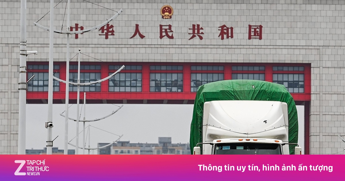 zingnews.vn