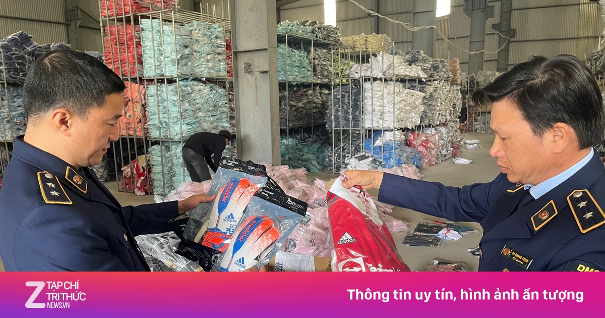 zingnews.vn