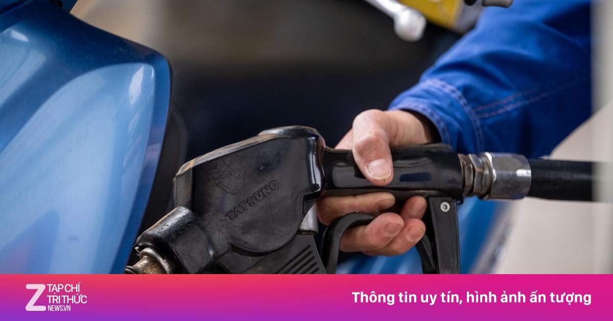 zingnews.vn