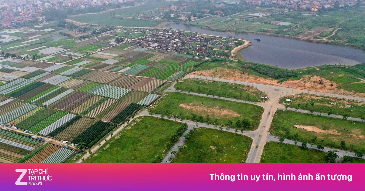 znews.vn