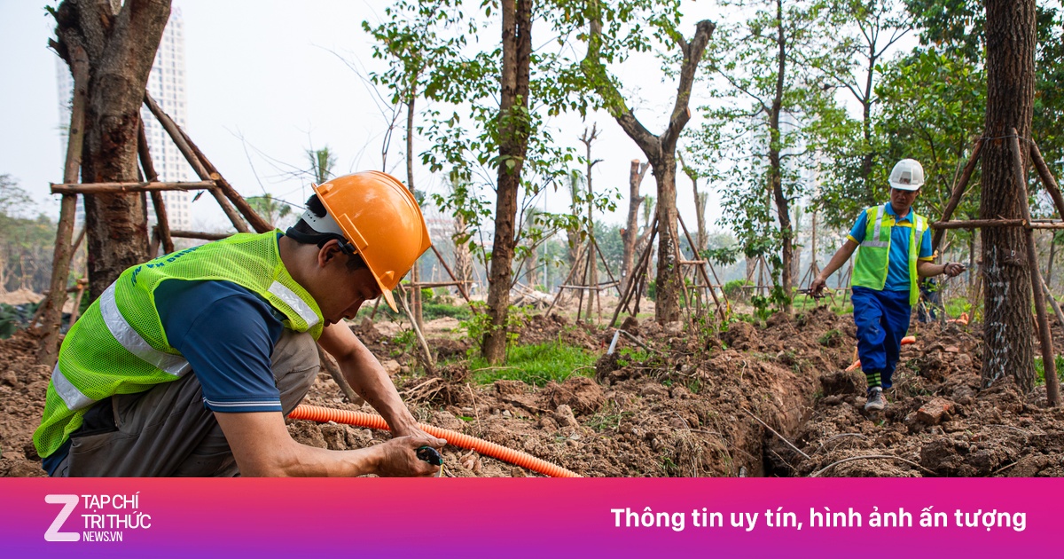 Dỡ rào các công viên tại Hà Nội, đầu tư hàng chục tỷ đồng cải tạo