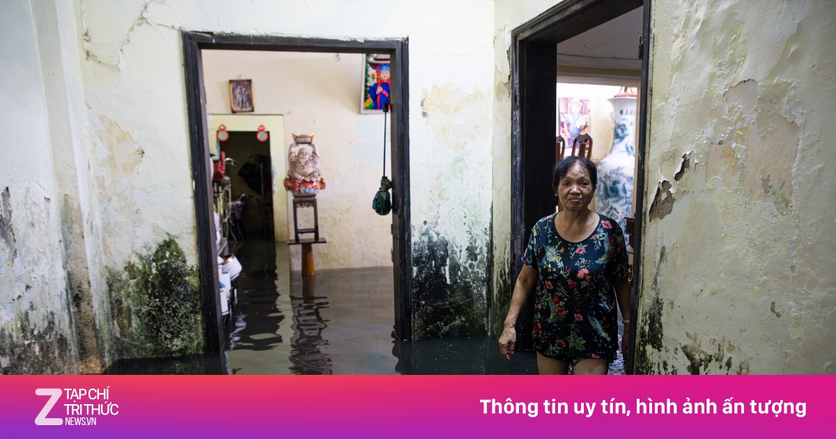 znews.vn