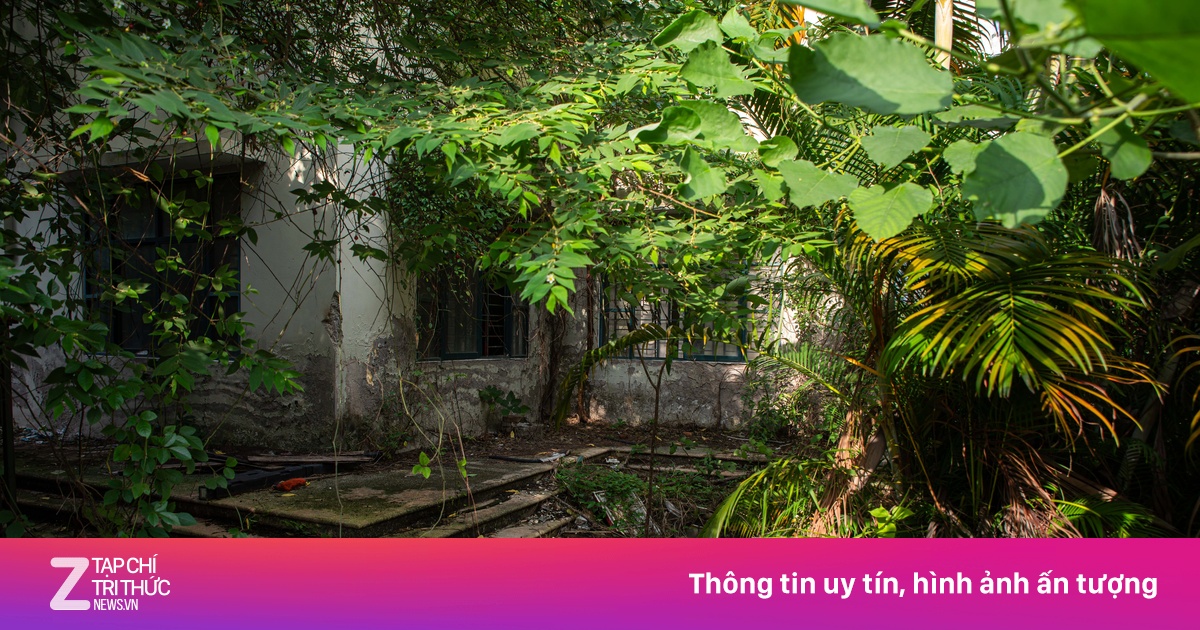 Cảnh lạnh lẽo trong khu tái định cư bỏ hoang tại Hà Nội