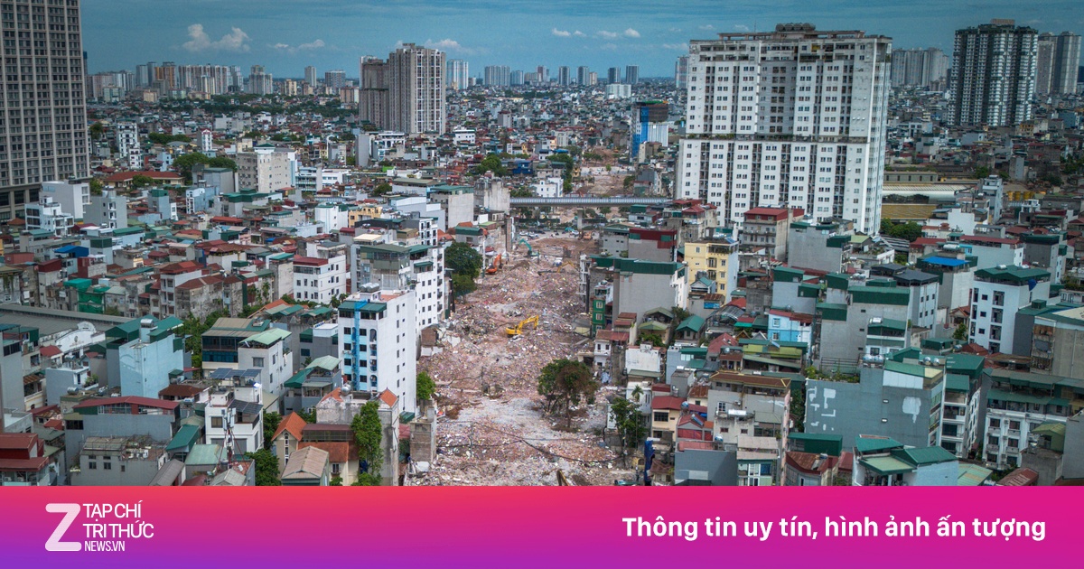 znews.vn