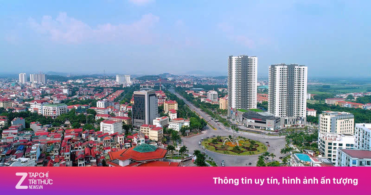 znews.vn