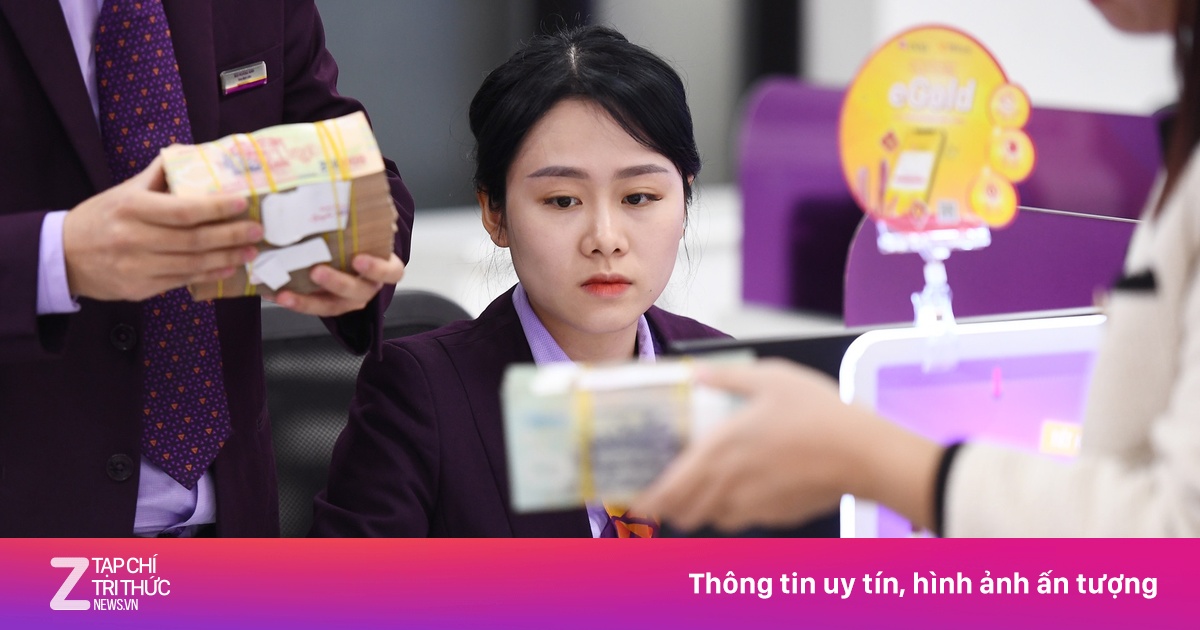 znews.vn