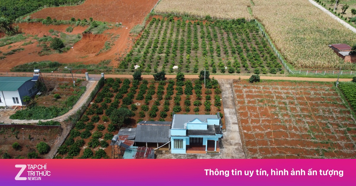 Rõ cách tính tiền chuyển đổi đất vườn lên đất ở