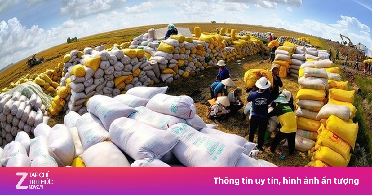 znews.vn