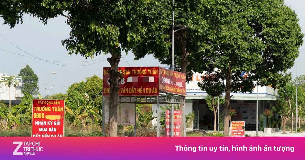 znews.vn