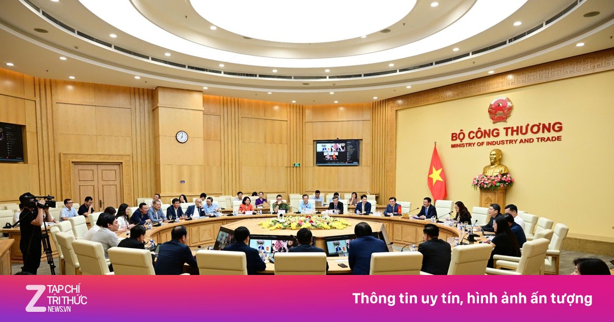 znews.vn