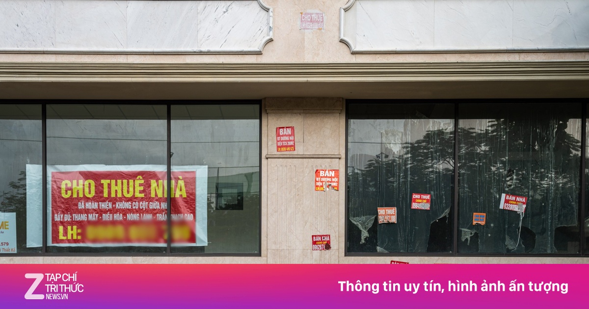znews.vn
