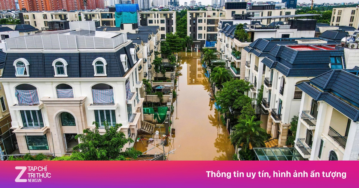 znews.vn
