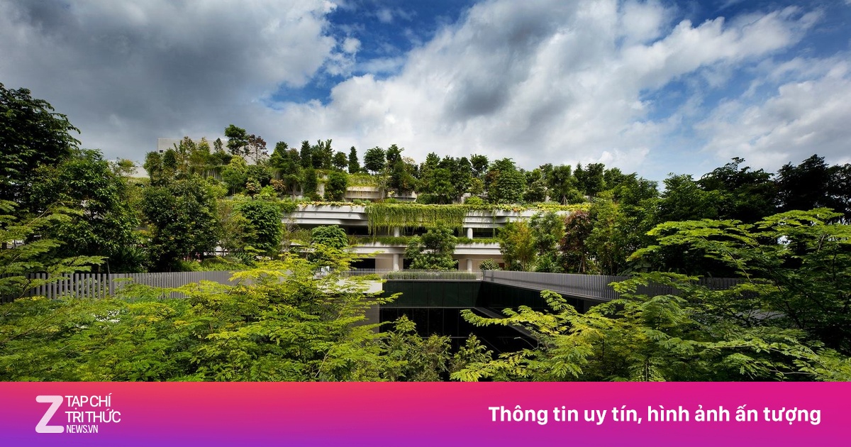 Bất động sản dưỡng lão thành 'mỏ vàng mới', thu hút loạt đại gia