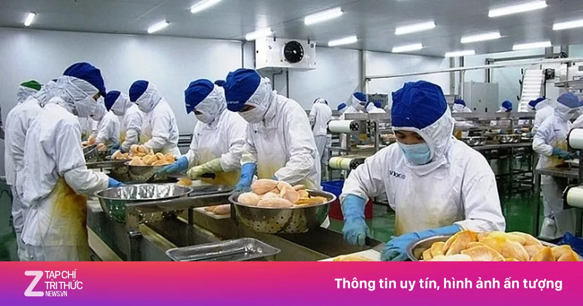 Gần 2.600 nông sản Việt xuất khẩu Trung Quốc phải có 'thư xác nhận'