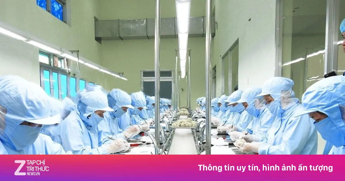 Nông sản Việt xuất Trung Quốc đối mặt quy định mới từ 1/6/2026