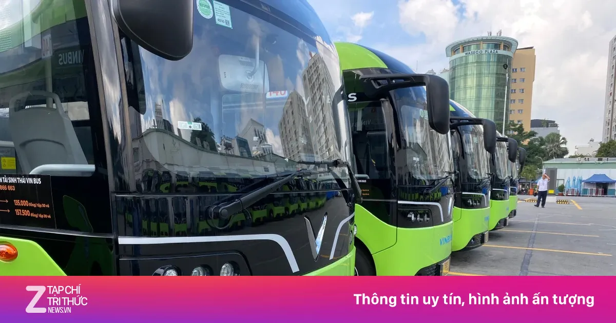 TP.HCM Miễn Phí Vé Xe Buýt: Quyết Sách Lịch Sử, Thách Thức Về Nguồn Lực Và Vận Hành