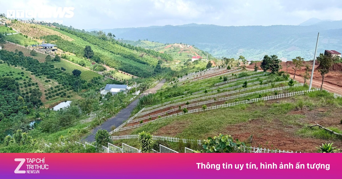 Đất nền phân lô 'chôn vốn' 4 năm, rao bán cắt lỗ không ai mua