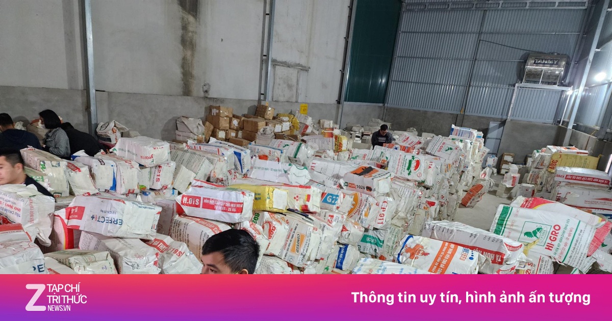 'Đâu đâu cũng bắt hàng giả, chúng tôi đợi bắt sách giả'
