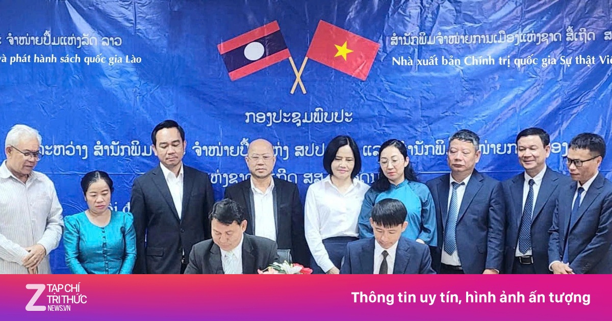 znews.vn
