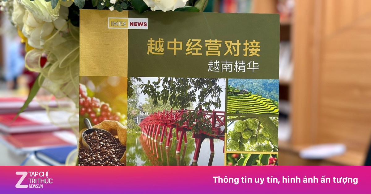 znews.vn