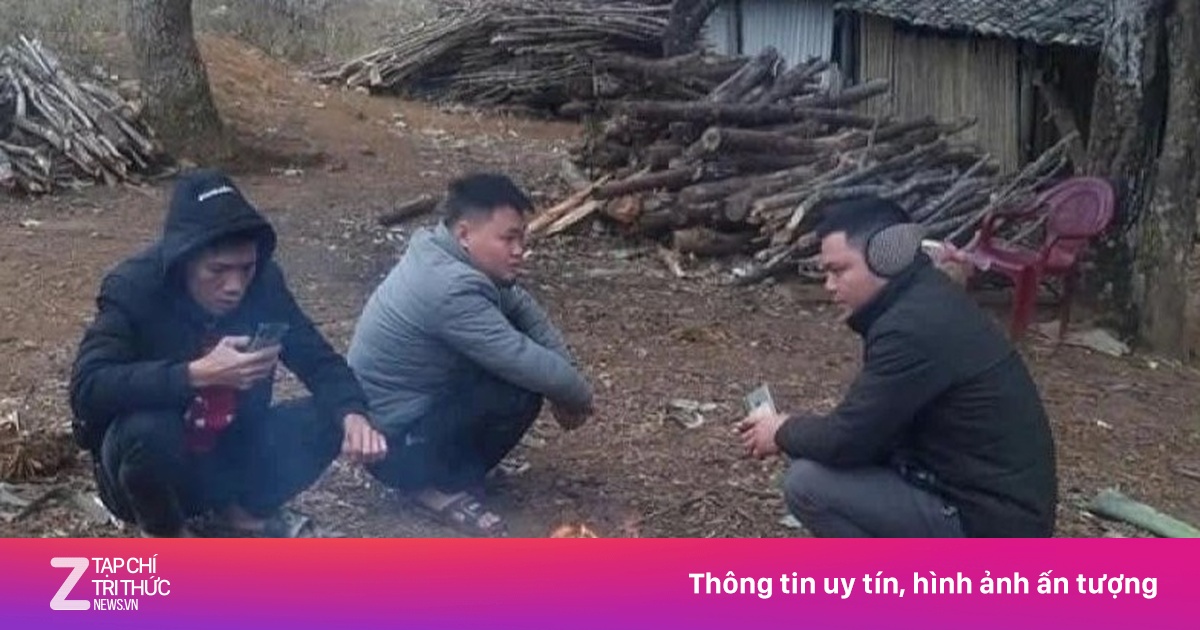 Thời tiết ngày 1/2: Miền Bắc rét, vùng núi rét đậm, Trung Bộ mưa dông