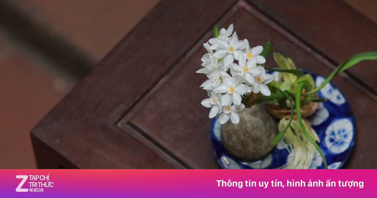 Thú chơi hoa thủy tiên cầu kỳ của người Hà Nội