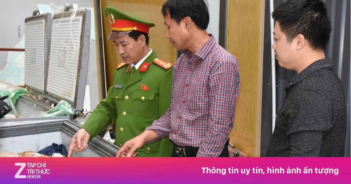 Xây hầm cất giấu ‘chúa sơn lâm’