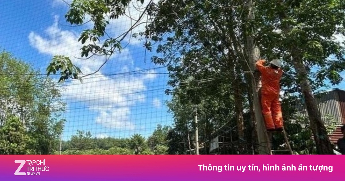 Thiếu niên 14 tuổi tử vong nghi do điện giật khi đá bóng tại Đồng Nai