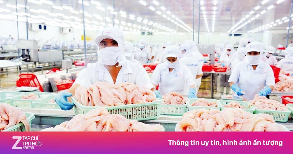 7 doanh nghiệp cá tra Việt được miễn thuế chống bán phá giá tại Mỹ