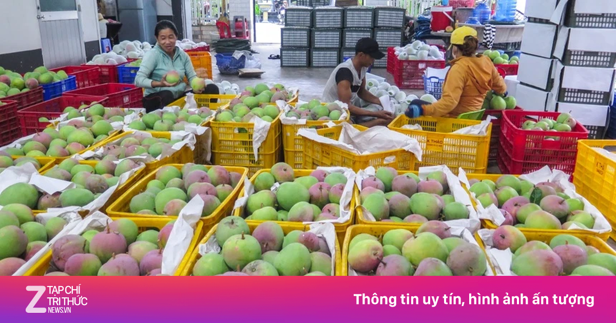 Nhật Bản nhập hàng trăm tấn rau quả mỗi năm từ Việt Nam