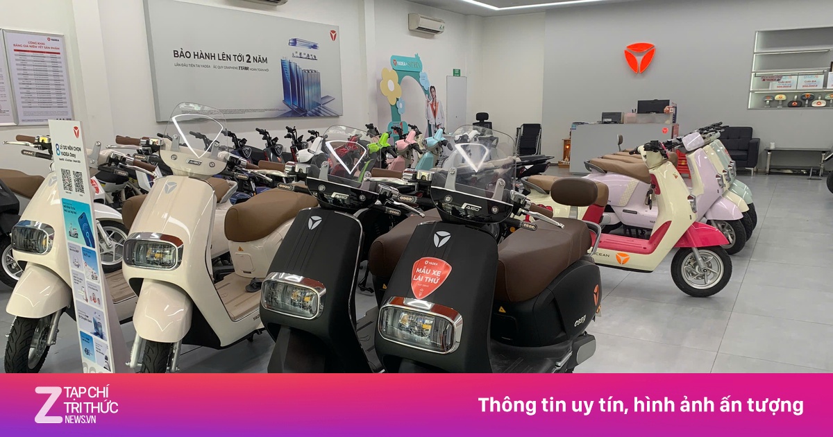 znews.vn
