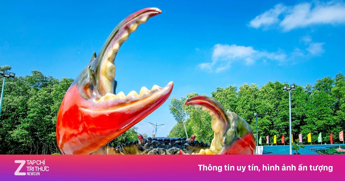 Cua Cà Mau 'tìm đường' sang Trung Quốc