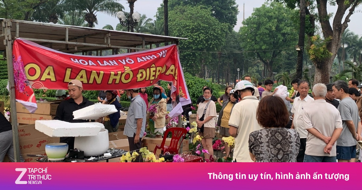 Người dân TP.HCM đổ xô mua lan hồ điệp giá rẻ tại công viên Gia Định dịp Tết