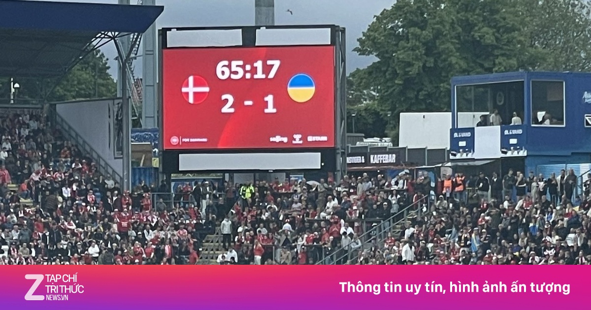 znews.vn