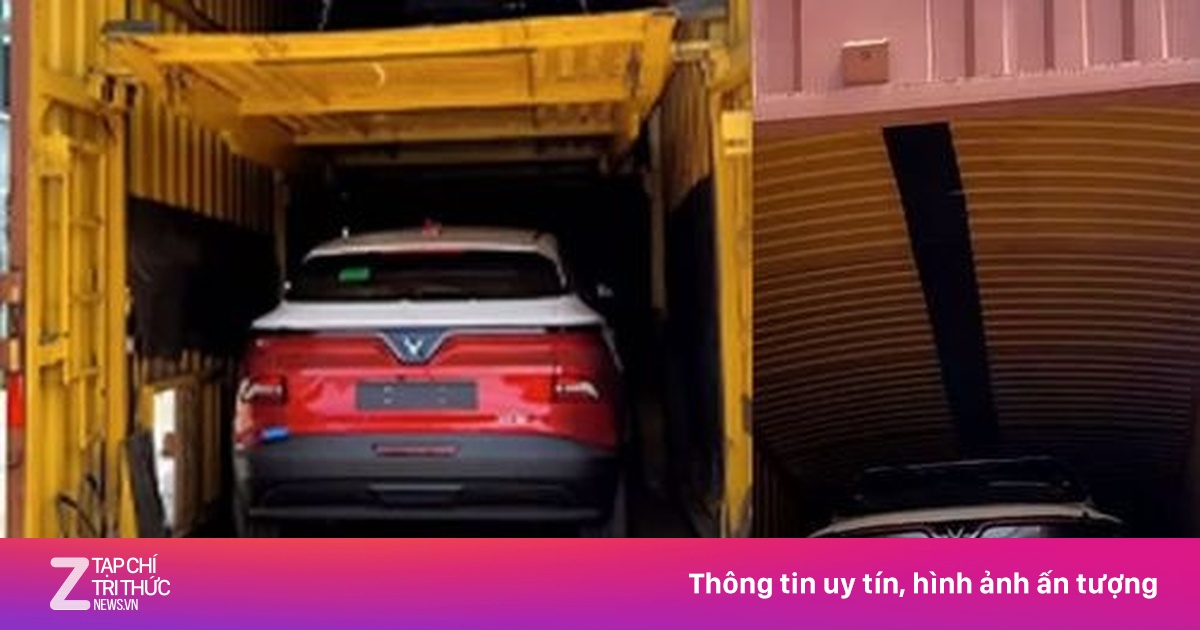 Lô xe VinFast VF 6, VF 7 đầu tiên cập bến Ấn Độ
