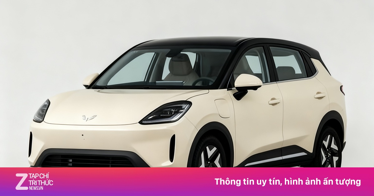 Xe điện 'ế' tại Việt Nam lại có bản mới