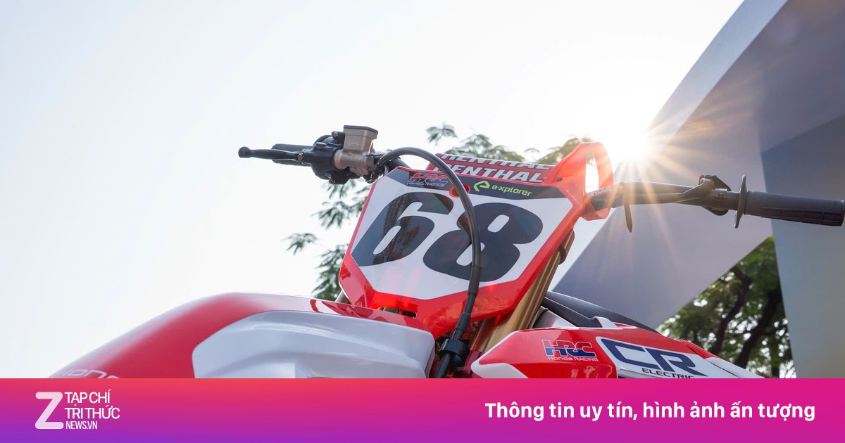 znews.vn