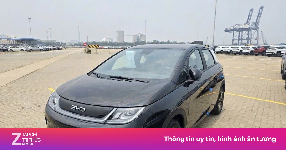 BYD Dolphin 2026 mở bán từ tháng sau, giá rẻ hơn bản cũ gần 100 triệu?