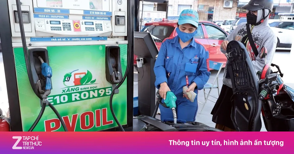 VAMA 'giải mã' lo ngại về an toàn cho động cơ khi dùng xăng E10
