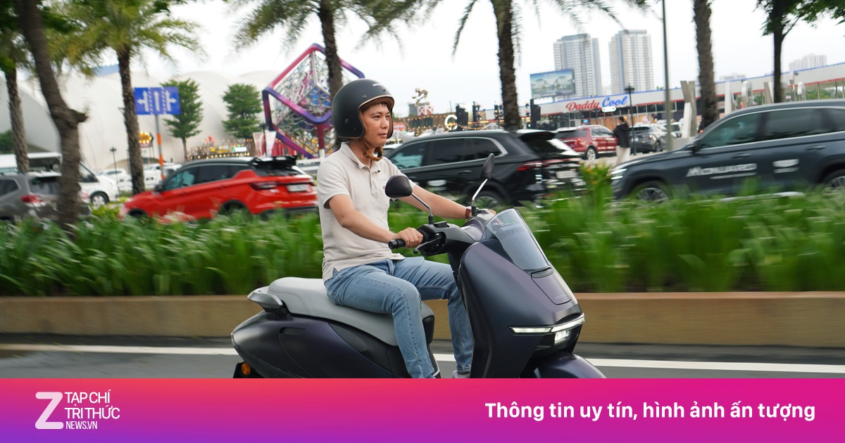 znews.vn