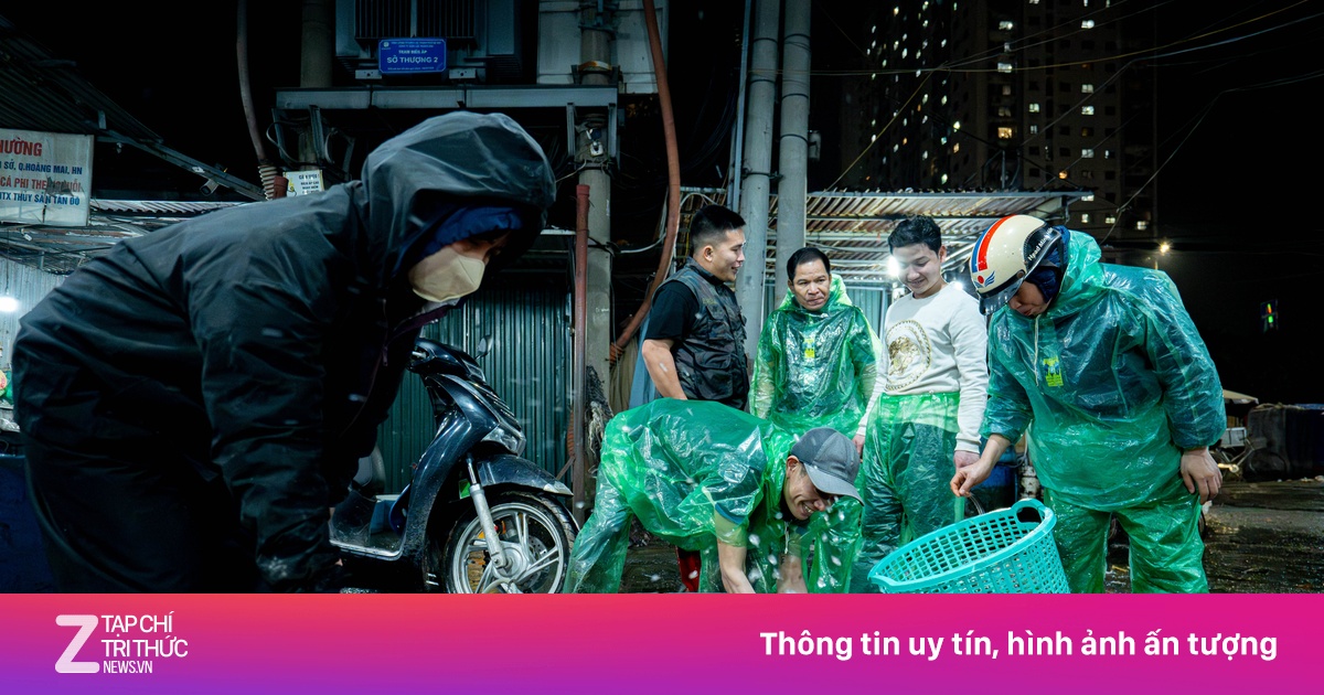 Giá cá chép cúng ông Công ông Táo giảm mạnh, chợ cá Yên Sở vắng vẻ bất thường