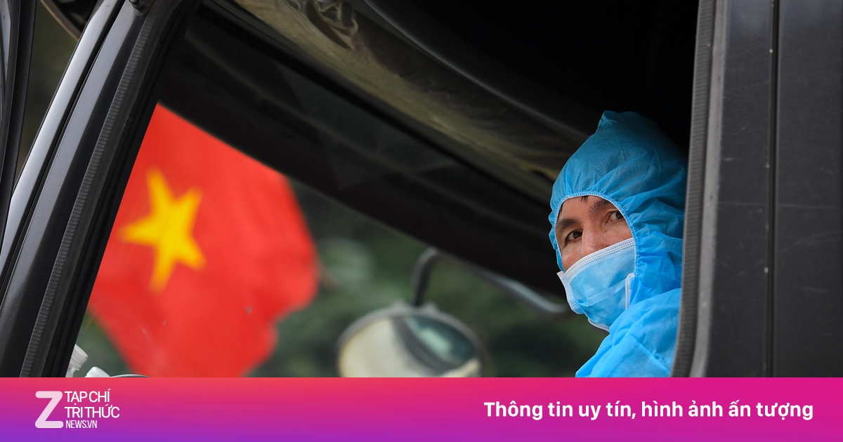 zingnews.vn
