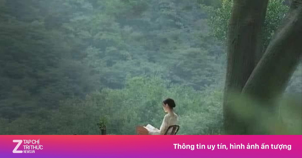 Bình an nảy mầm từ những khó khăn trong cuộc sống